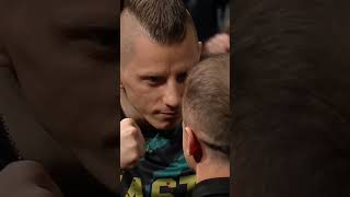 MINIMAJK VS MINI OWCA FACE TO FACE #shorts