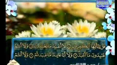 سورة الكافرون الشيخ عمر القزابري