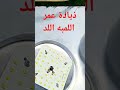 كيف تجعل اللمبه اللد تعيش أطول بثلاث خطوات الفيديو كامل من هنا