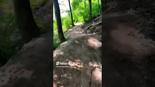 Famous Snakebite Lower project update 14th June 2025 #mtb #mtbtrailbuilding Net Worth
