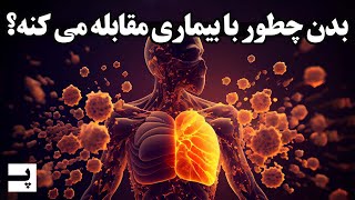 ارتشی برای حفاظت از بدن انسان - سیستم ایمنی بدن چطور کار میکنه