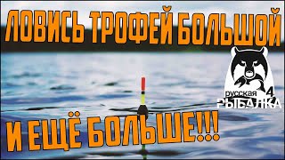 Диалоги о рыбалке и не только с Виктором Малаховым 18 Русская рыбалка 4