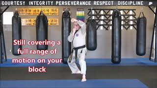 Famous Block & Reverse Punch Combination with Back & Front Stance Transitions Wealth