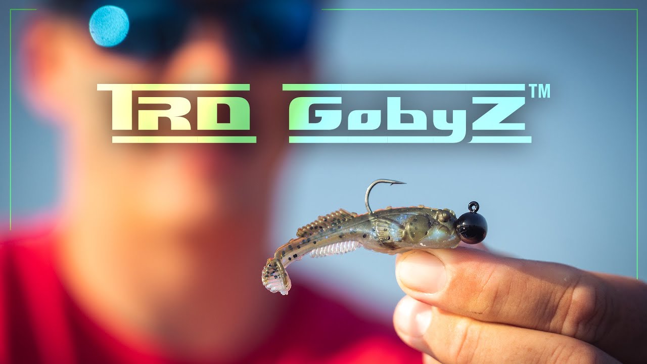 Introducing the TRD GOBYZ 