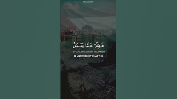سورة إبراهيم  الآيت ٤٢ #قران_كريم #عبدالرحمن_مسعد #سورة_الفاتحة