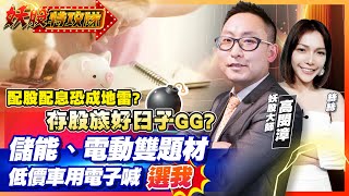 【妖股特攻隊】配股配息恐成地雷? 存股族好日子GG?儲能、電動雙題材 低價車用電子喊”選我”2023.03.14 妖股大師 高閔漳