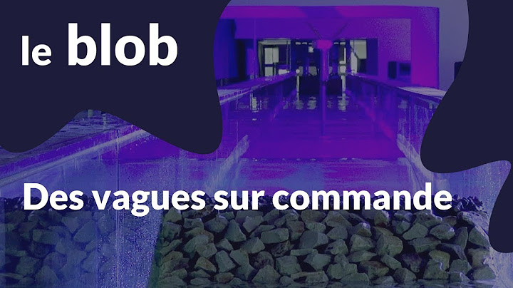 Reportage | Des vagues sur commande