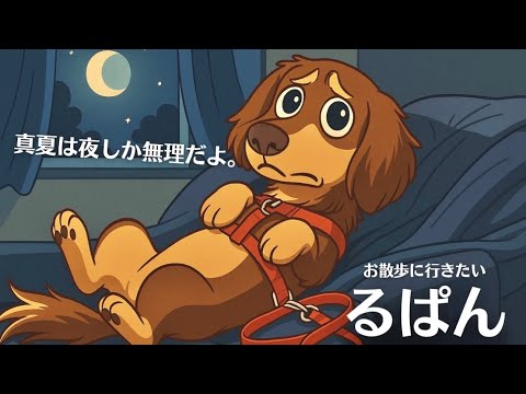 Ahh! Folly Jet / These Dog Days 犬の日々 犬の日々-THESE DOG DAYS | Ahh! Folly Jet