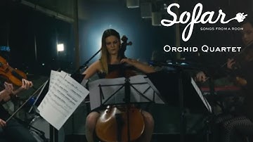 Orchid Quartet - Toccata and Fugue (J.S. Bach) | Sofar Los Angeles