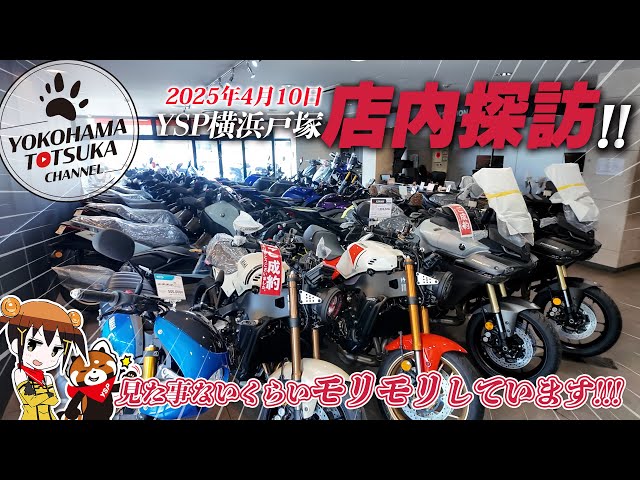 The store is packed with new Yamaha models!!! [Emergency store