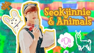 jin's love for animals 🐑