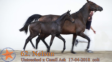 62 Nelson v. Untouched x Casall www.prinsjesdag.eu