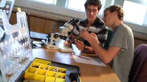 Environmental Science