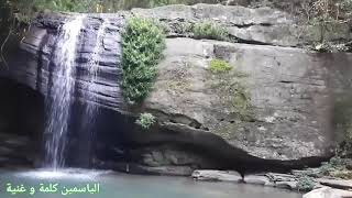 Wonderful waterfall in Buderim Forest Park, شلال رائع وسط غابة طبيعية جميلة في بريزبن..أستراليا