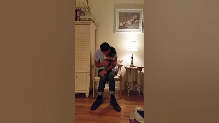 US Sailor and dog reunite after nearly 2 years