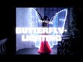 Belly dance butterfly-lighting