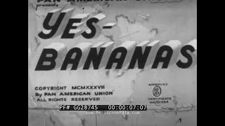 "YES - BANANAS"  1938 PAN AMERICAN UNION FILM  BANANA CULTIVATION & SHIPMENT TO USA GG28745