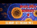 The Cell Nucleus B Parts Of Cell Nuclear Membrane, Nucleoplasm Nuclear Envelope Part 11