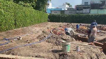 Tường Rào Cây Xanh cao 2m trang trí cảnh quan