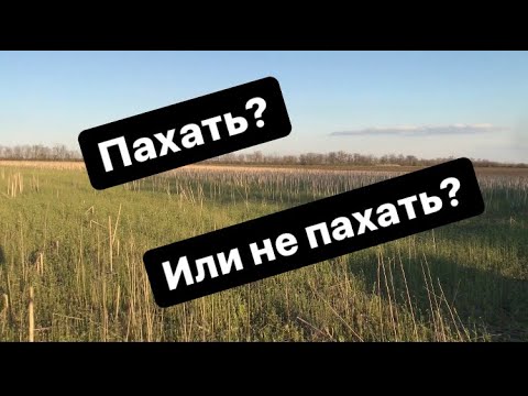 Пахать или не пахать? Вот в чем вопрос