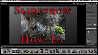 How To Create a SLIDESHOW in LIGHTROOM