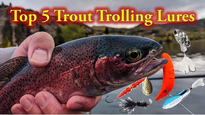 Kokanee Trolling Setup  Trout fishing lures, Kayak fishing tips