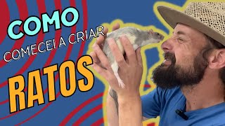 Como virei criador de Ratos