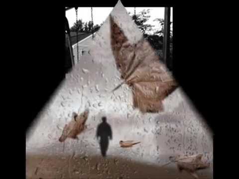 أنا رايح مش راجع