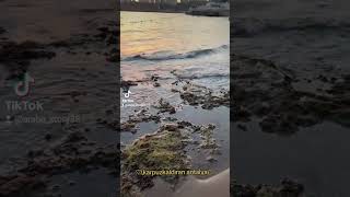 Deniz Manzaralı Iran Öneçıkart Şfet