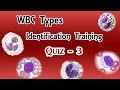 Wbc identification training quiz  part 33 