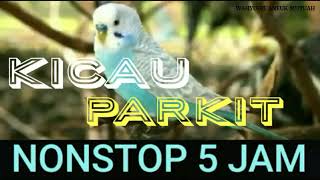 Full 5 Jam Nonstop Kicau Burung Parkit Sangat Cocok Buat Pancingan Burung Kesayangan Anda screenshot 5