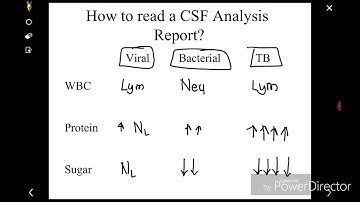 How to read CSF analysis report?