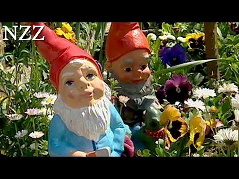 Video: Erstaunliche Blume Aus Frankreich In Unseren Gärten