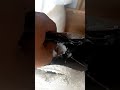 Video Image