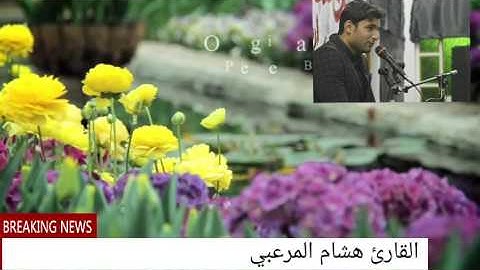 مقطع من سورة الأسراء  مقام الكرد ... هشام المرعبي
