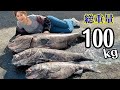 【難易度MAX★★★過去最長】全身脂まみれの深海魚アブラボウズがやってきた!【魚屋の森さん】#白斑光裸头鱼