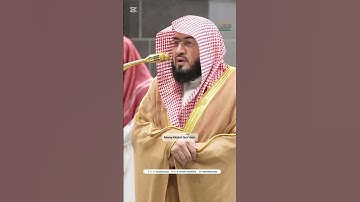 صلاة الفجر 4 جمادي الآخرة 1446 - فضيلة الشيخ د بندر بليلة - المسجد الحرام - سورة الأنعام