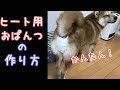 [10000印刷√] 柴犬 女の子 ��理 338748-柴犬 女の子 生理