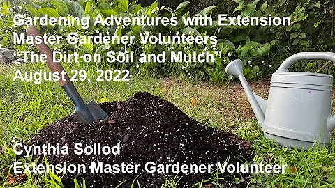 The Dirt on Soil and Mulch