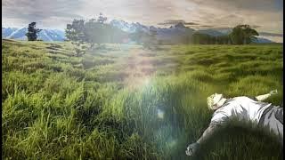 butterfly melly goeslaw cover p17u speed up   reverb