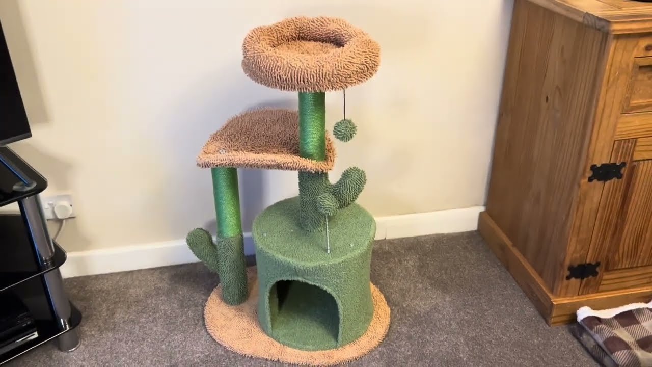 PAWZ Road Cat Tree 32 Inches Review