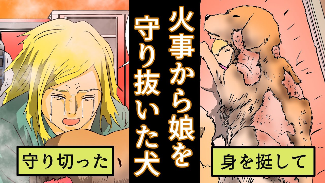 感動 火事から赤ちゃんを守り抜いた犬に涙が止まらない マンガ動画 動物がかわいいyoutube動画はここだ