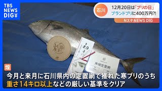 【ブリの日】1匹400万円！“ブランドブリ”の初競り！冬の風物詩「かぶら寿司」って何？石川県のブリがいま熱い！｜TBS NEWS DIG
