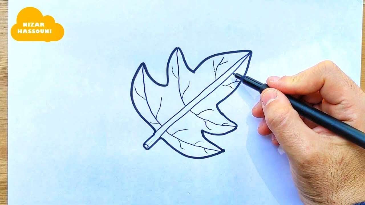 Comment dessiner une feuille d'arbre 