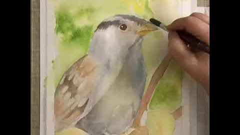The Sweet Sparrow  a watercolor speed painting  by...