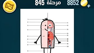 كلمات كراش 845 - كلمات كراش ٨٤٥