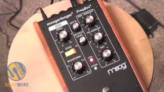ギター Moog Moogerfooger MF-107 FreqBox Moog Music MF107 Moogerfooger FreqBox Is NSFW, R, S Or S