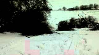 Sam's epic sledging fail