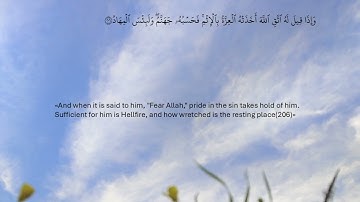 سورة البقرة - صفحة 32 - محمد صديق المنشاوي