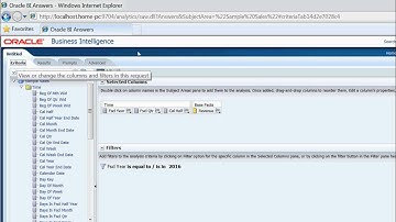 How to display custom error messages in obiee 11g